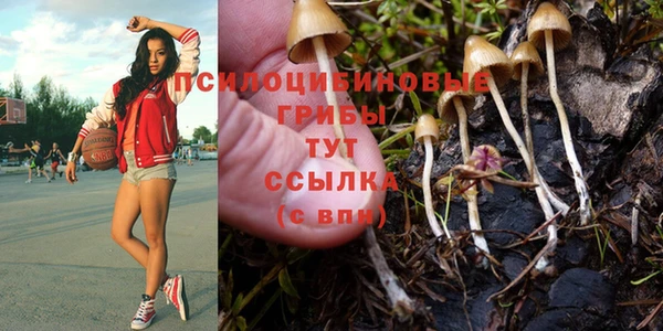 каннабис Зуевка