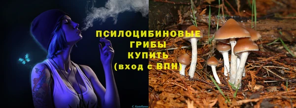 каннабис Новокубанск